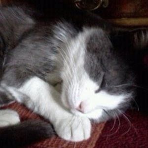 Meet your Posher, Veronica